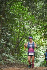 BIB: 
                            <button type="button" onclick="openModal(22446426)" class="btn btn-primary btn-sm float-right btn-popup" data-toggle="modal" data-target=".modal-high-quality">
                        <i class="fas fa-shopping-cart"></i> Add to Cart
                    </button>
                                            <button type="button" onclick="isThisMe(22446426, true)" class="btn btn-success btn-sm float-right btn-popup btn-isme hidden" data-toggle="tooltip" data-placement="bottom" title="นี่คือรูปของคุณใช่ไหม คลิกที่นี่เพื่อเอาเข้าอัลบั้ม">
                        <i class="fas fa-plus"></i> Add to album
                    </button>
                    <button type="button" onclick="isThisMe(22446426, false)" class="btn btn-warning btn-sm float-right btn-popup btn-isnotme hidden">
                        <i class="fas fa-ban"></i> Remove from album
                    </button>